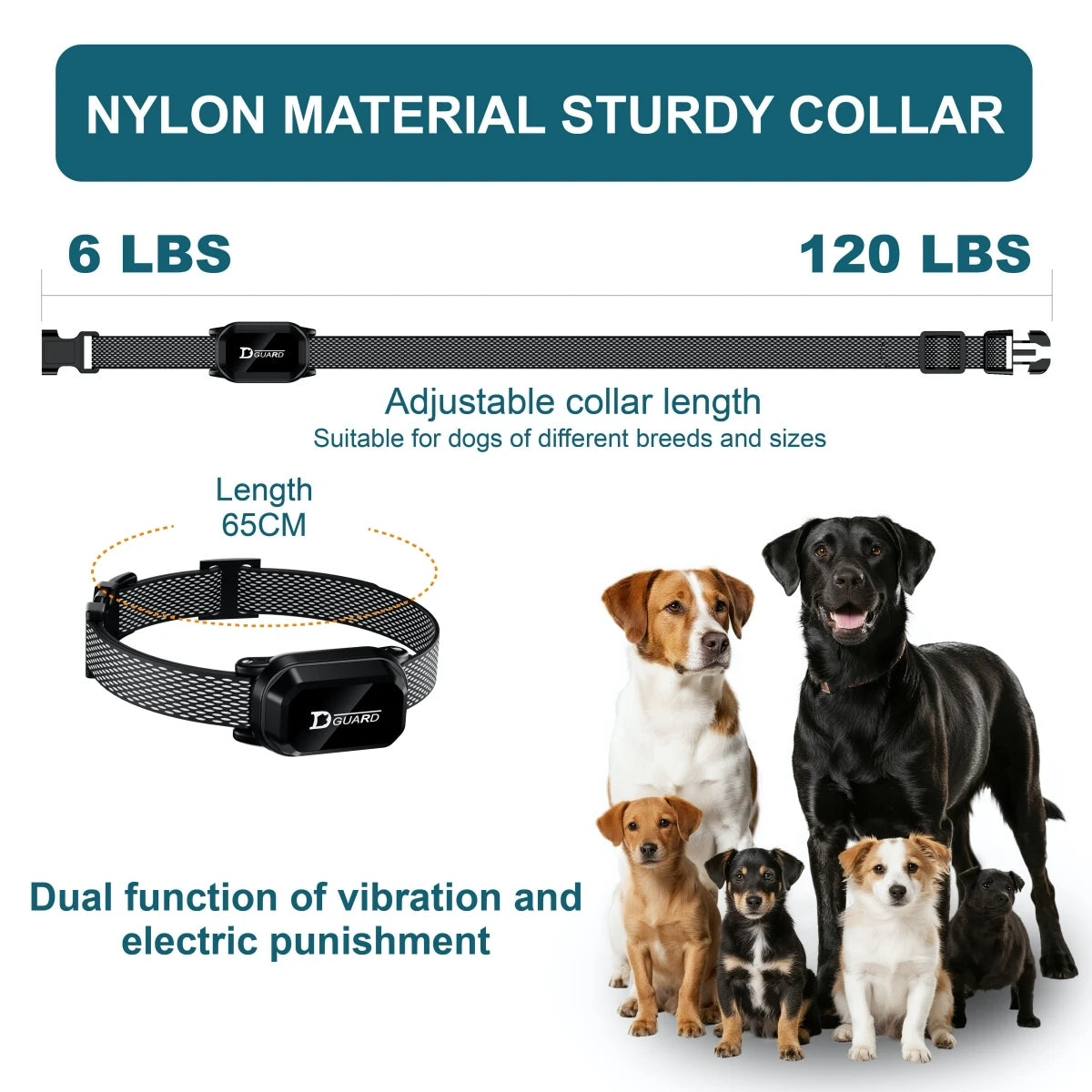 Collar de entrenamiento para perros TrainMate™ Pro